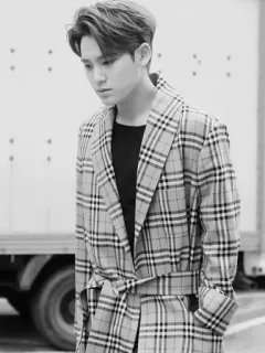 ✖️ f8b74aa4 homem, xadrez, casaco, retrato, moda, preto e branco telegram sticker