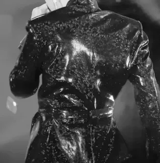 🌑 7d464cba persoon, rug, leer, zwart wit, glanzend telegram sticker