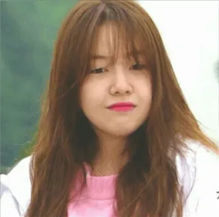 🌸 27ea7fe3 telegram sticker