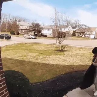 🤪 ee929ac8 telegram sticker