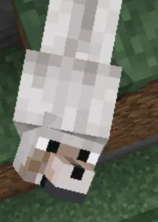 minecraft telegram stickers