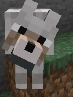 minecraft whatsapp stickers