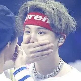 🦔 17d3503e telegram sticker