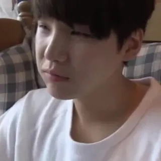 🦔 2f1857d9 telegram sticker