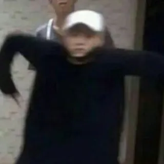 🦔 4da76ae7 telegram sticker