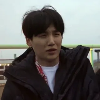 🦔 58601cd6 telegram sticker