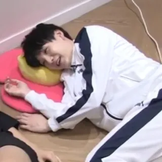 🦔 62045116 telegram sticker