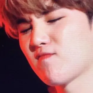 🦔 71273afd telegram sticker