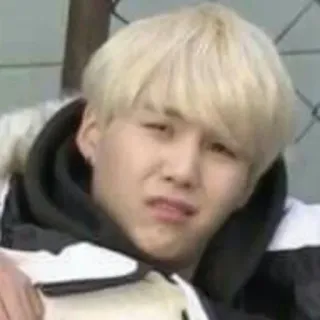 🦔 941fb766 telegram sticker