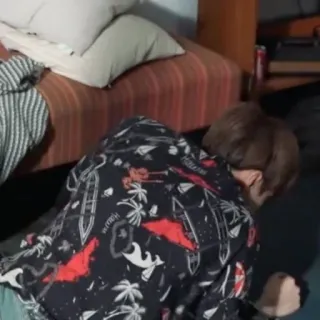 🦔 95795423 telegram sticker