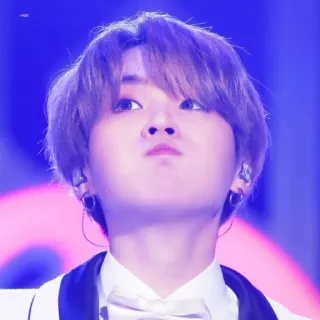 🦔 95a2bf66 telegram sticker