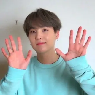 🦔 a313f745 telegram sticker