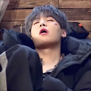 🦔 a682e517 telegram sticker