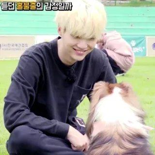 🦔 ba80089e 늘듣던 풀풀출출의 감정일까 personne, chien, souriant, coréen, herbe telegram sticker