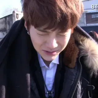 🦔 bd1d31a2 telegram sticker