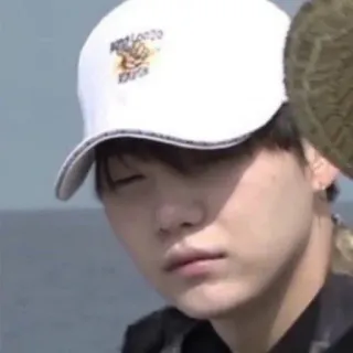 🦔 e714aea5 telegram sticker