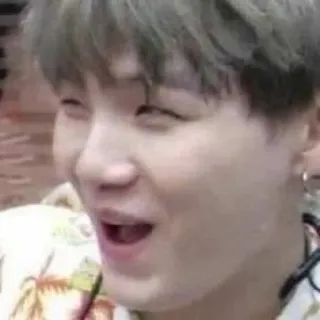 🦔 ed9a590f telegram sticker