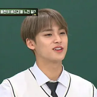 Mingyu - @RAYN_JAR whatsapp stickers