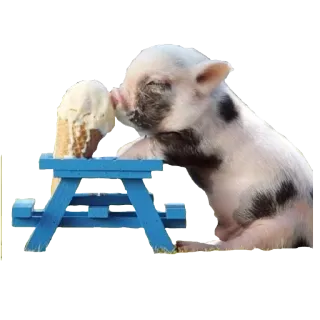 🍦 6c8cec59 porcelet, glace, animal, mignon, table, nourriture whatsapp sticker