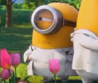 🤔 d6b2f642 Minion Despicable Me minion, kreskówka, śmieszne, postać telegram sticker