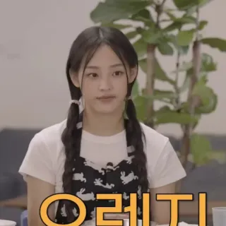 🩰 062a427d 오렌지 オレンジ, フルーツ, 韓国, 食べ物 telegram sticker