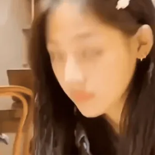 🐻 3925f9e3 telegram sticker