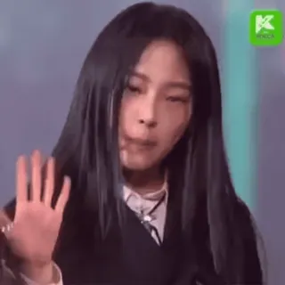 🐻 d78c3946 telegram sticker