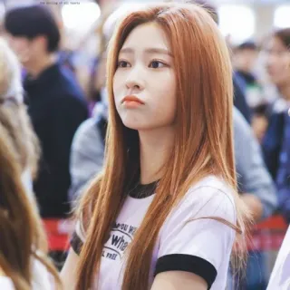 🛒 79f31728 telegram sticker