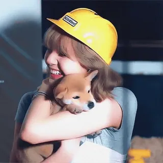 🎈 a1e34964 개, 강아지, 귀여운, 여자, 건설, 모자, 행복한, 포옹 telegram sticker