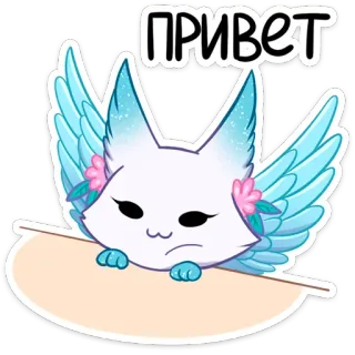 👋 ebebc896 ПРИВЕТ kot, skrzydła, zwierzę, powitanie, słodki, naklejka telegram sticker