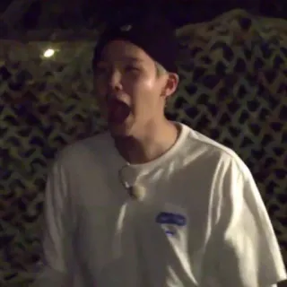 🐱 00a8547a telegram sticker