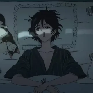 🌊 14e89c52 Anime, Garçon, Chat, Sommeil, Lit whatsapp sticker