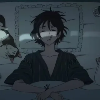 🌊 d978c810 animé, dormir, chat, fatigué, lit, oreiller whatsapp sticker