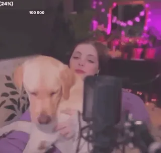 ❤️ 612bc848 100 000 женщина, собака, лабрадор, портрет, человек, питомец telegram sticker