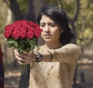 💐 a970868f 女性, 花, バラ, 赤, ブーケ, ギフト, 自然 telegram sticker