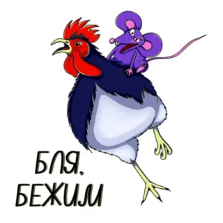 🏃‍♀️ f675c88b БЛЯ, БЕЖИМ pollo, topo, animale, corsa, russo, imprecazione telegram sticker