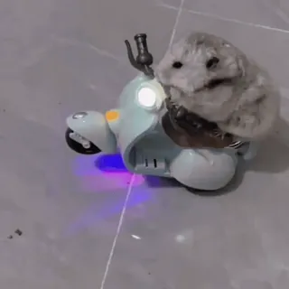 🛵 fde437f5 hámster, animal, mascota, juguete, moto, scooter telegram sticker