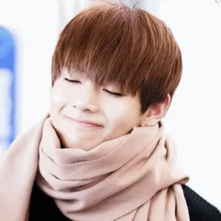 😊 57e1f173 telegram sticker