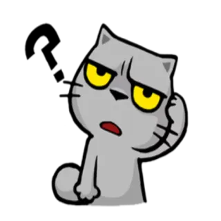 🤔 2379baa8 猫, ステッカー, 漫画, 困惑, グレー, 動物, 表情 telegram sticker