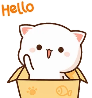 👋 05f781d5 HELLO gato, lindo, animal, dibujo animado, hola, saludo, amigable, kawaii whatsapp sticker
