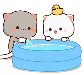 🛁 3f6298a4 gatos, lindo, animales, piscina, pato, kawaii, pegatina whatsapp sticker