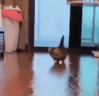 🏃‍♂ 45defc96 telegram sticker