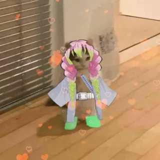 🌸 6e9728b7 Mitsuri Kanroji Demon Slayer cat, anime, demon slayer, mitsuri kanroji, cosplay whatsapp sticker