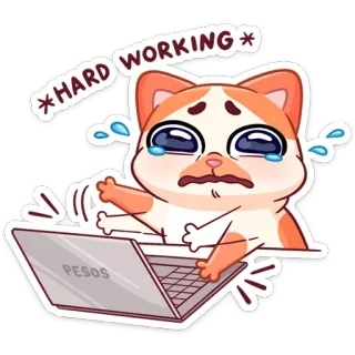 💻 c2872cbc * HARD WORKING * kucing, pekerja keras, kerja, air mata, kartun, laptop, peso, menangis, lelah whatsapp sticker