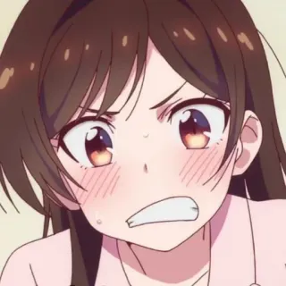 🍫 51baccfb whatsapp sticker