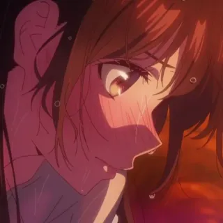 🍫 a66972e3 whatsapp sticker