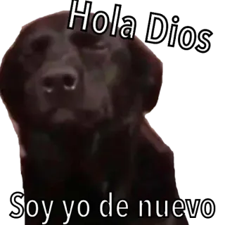 🙏 7d6ccf4a Hola Dios
Soy yo de nuevo pies, zwierzę domowe, zwierzę, cześć boże, to znowu ja, powitanie, hiszpański telegram sticker