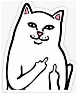 🖕 9cb3ee0f kot, środkowy palec, obraźliwe, naklejka, zwierzę telegram sticker