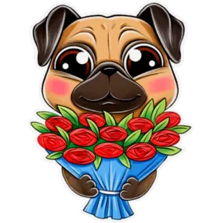💐 79907309 dog, pug, flowers, bouquet, roses, cute, animal telegram sticker