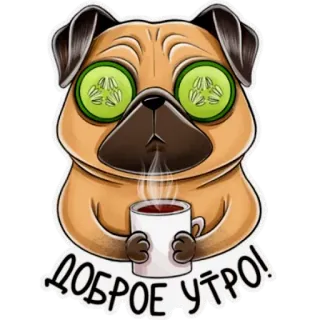 Мопс telegram stickers